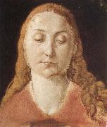Portrait of a woman with Loose Hair